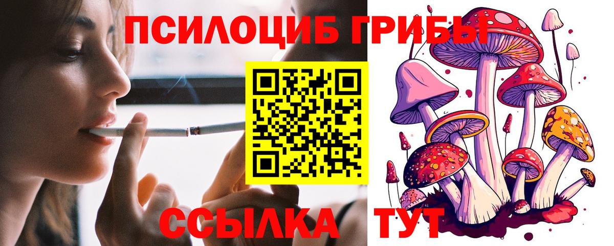 Каспийск  Псилоцибиновые грибы Psilocybine cubensis  Вход с VPN 
